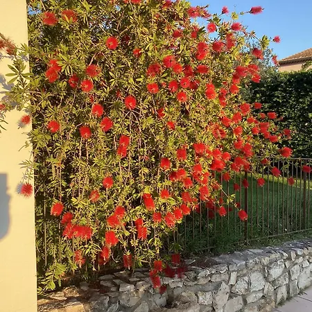 Les D'hôtes D'eloïse, Piscine Privée * Aramon