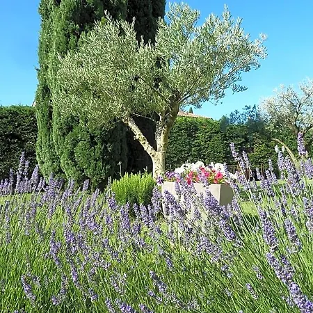 Les D'hôtes D'eloïse, Piscine Privée