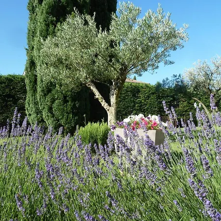 Les D'hotes D'eloise, Piscine Privee